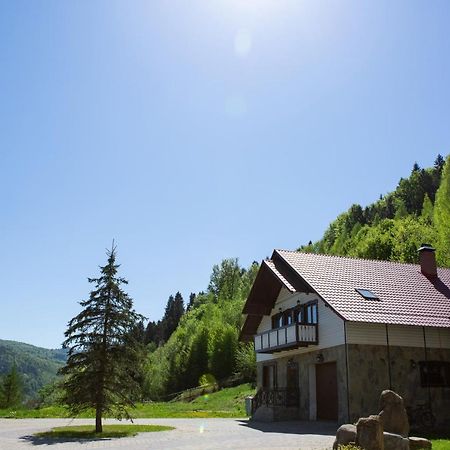 Kamyanka Villa Яремче Екстериор снимка